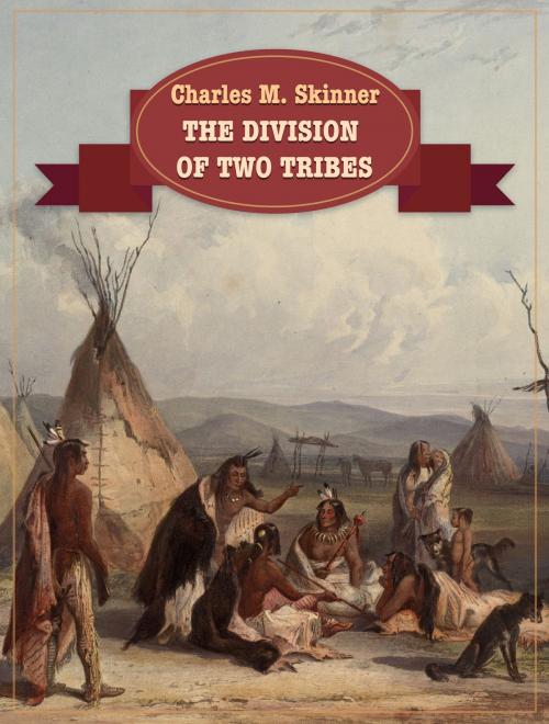 Cover of the book The Division Of Two Tribes by Charles M. Skinner, Media Galaxy