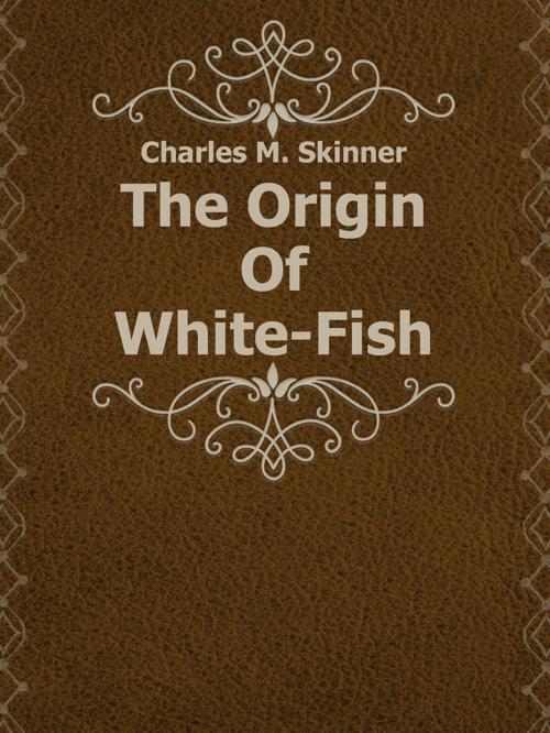 Cover of the book The Origin Of White-Fish by Charles M. Skinner, Media Galaxy