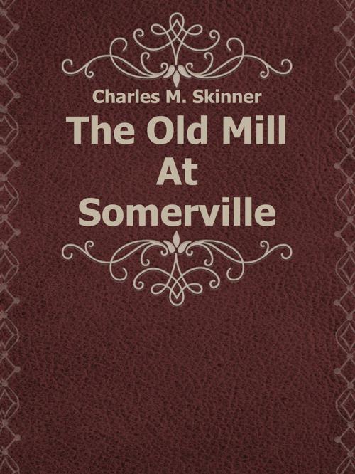 Cover of the book The Old Mill At Somerville by Charles M. Skinner, Media Galaxy
