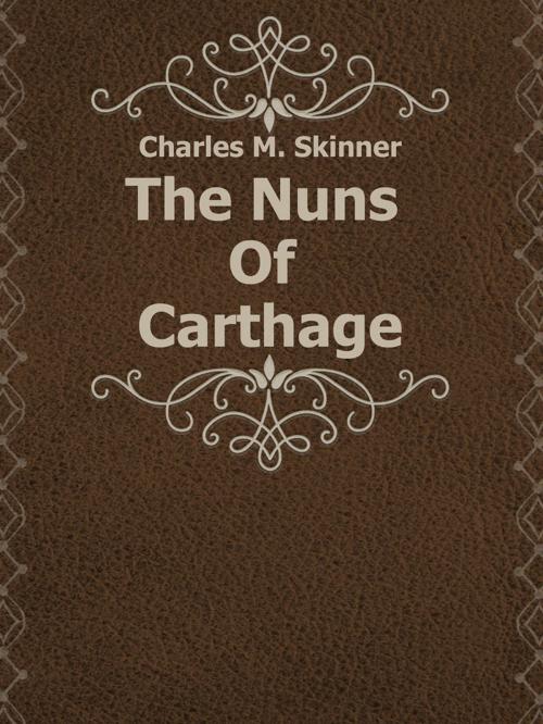 Cover of the book The Nuns Of Carthage by Charles M. Skinner, Media Galaxy