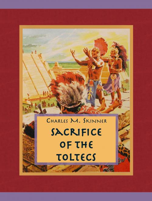 Cover of the book Sacrifice Of The Toltecs by Charles M. Skinner, Media Galaxy