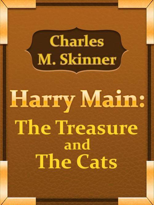 Cover of the book Harry Main: The Treasure And The Cats by Charles M. Skinner, Media Galaxy