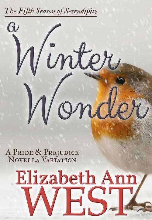 Cover of the book A Winter Wonder by Elizabeth Ann West, Pemberley Possibilities