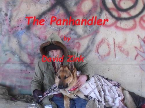 Cover of the book The Panhandler by david zink, Timber Forest Cody