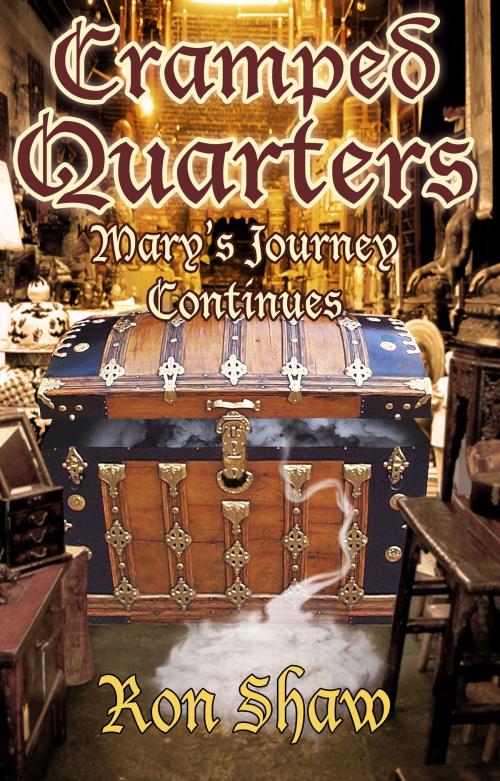 Cover of the book Mary's Journey Continues by Ron Shaw, Annie Acorn Publishing LLC
