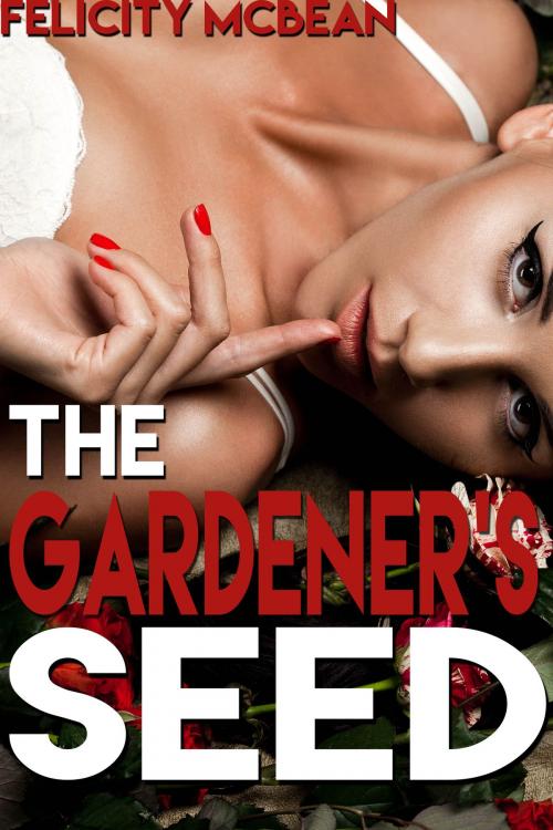 Cover of the book The Gardener's Seed by Felicity McBean, Felicity McBean
