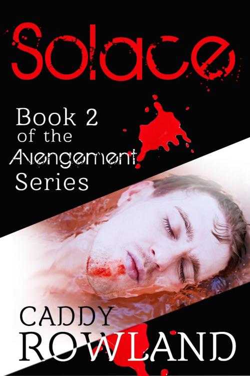 Cover of the book Solace by Caddy Rowland, Caddy Rowland