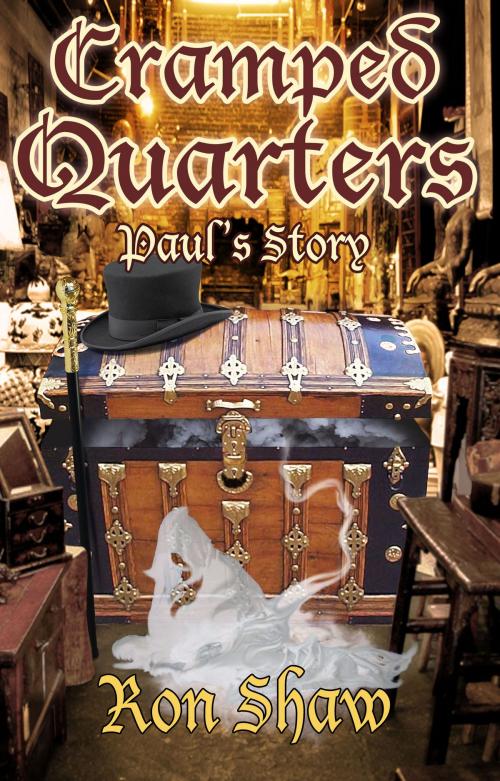 Cover of the book Paul's Story by Ron Shaw, Annie Acorn Publishing LLC