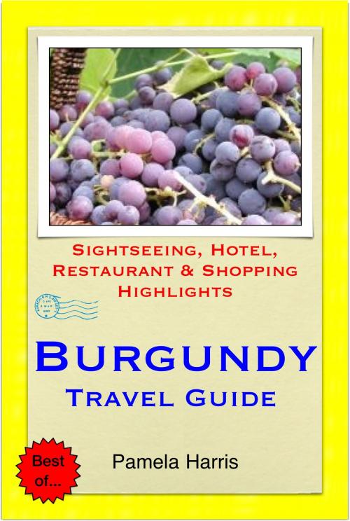 Cover of the book Burgundy, France Travel Guide - Sightseeing, Hotel, Restaurant & Shopping Highlights (Illustrated) by Pamela Harris, Astute Press