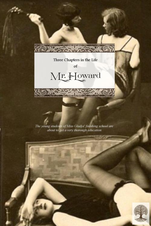 Cover of the book Three Chapters in the Life of Mr. Howard by Charles Sackville (pseudonym), Locus Elm Press (editor), Locus Elm Press