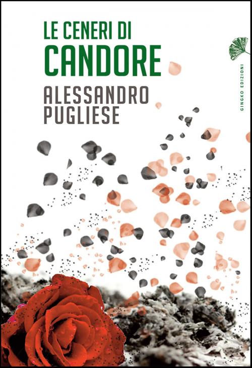 Cover of the book Le ceneri di Candore by Alessandro Pugliese, Gingko edizioni