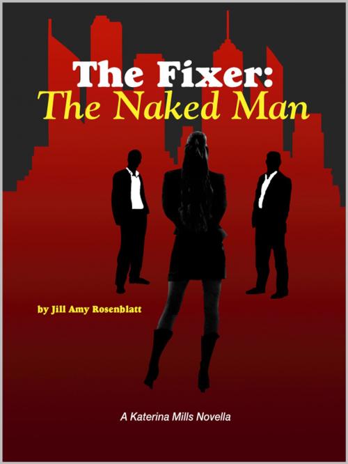 Cover of the book The Fixer: The Naked Man by Jill Amy Rosenblatt, Jill Amy Rosenblatt