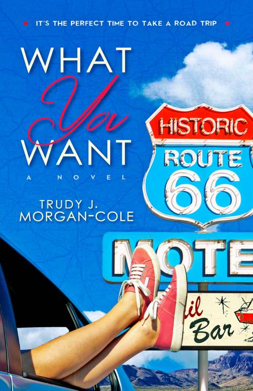 Cover of the book What You Want by Trudy J. Morgan-Cole, Strident Books