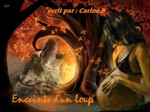 Cover of the book Enceinte d'un loup by carine boehler, carine.b
