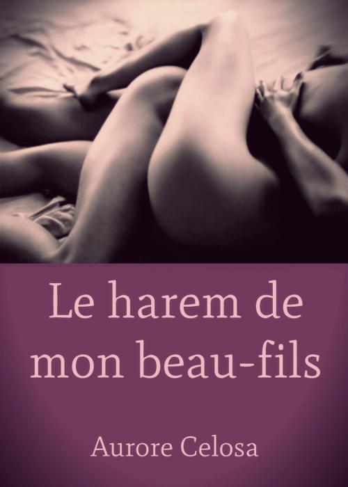 Cover of the book Le Harem de mon beau-fils by Aurore Celosa, Editions Castigo