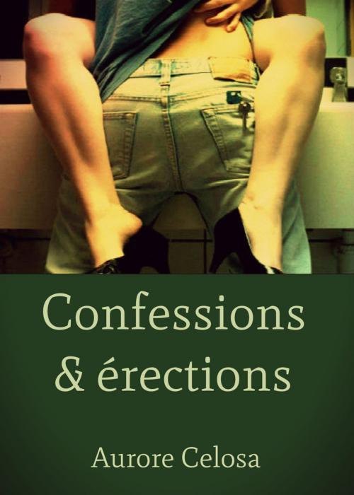 Cover of the book Confessions & érections by Aurore Celosa, Editions Castigo