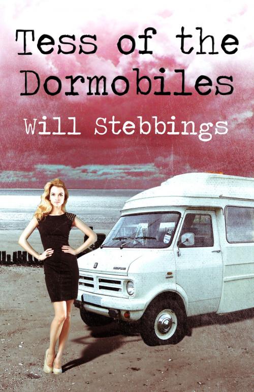 Cover of the book Tess of the Dormobiles by Will Stebbings, Createspace