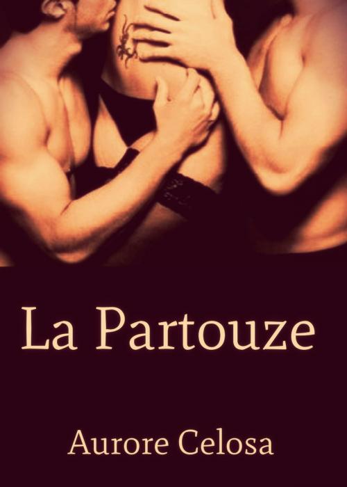 Cover of the book La partouze by Aurore Celosa, Editions Castigo