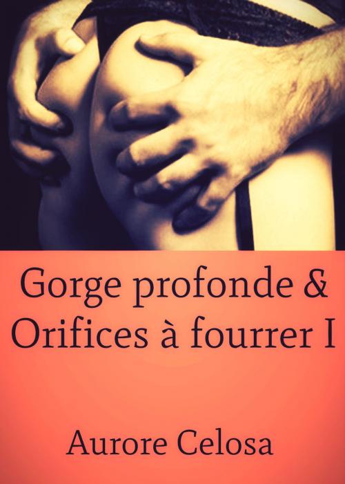 Cover of the book Gorge profonde & Orifices à fourrer by Aurore Celosa, Editions Castigo