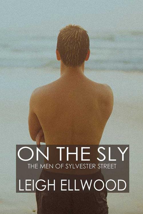 Cover of the book On the Sly by Leigh Ellwood, DLP Books