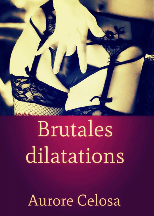 Cover of the book Brutales dilatations by Aurore Celosa, Editions Castigo