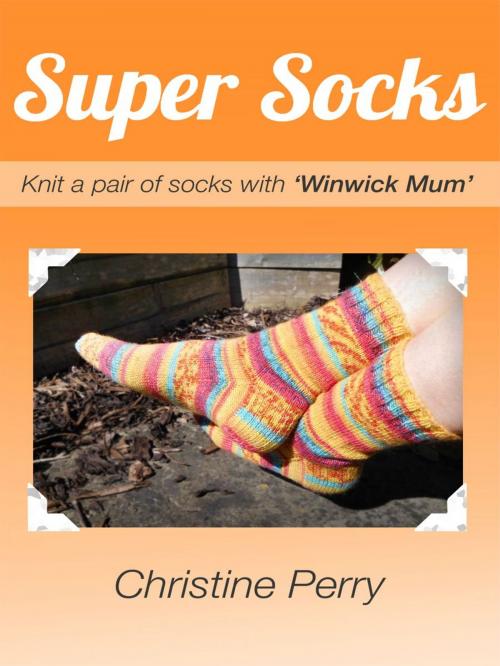Cover of the book Super Socks by Christine Perry, Christine Perry