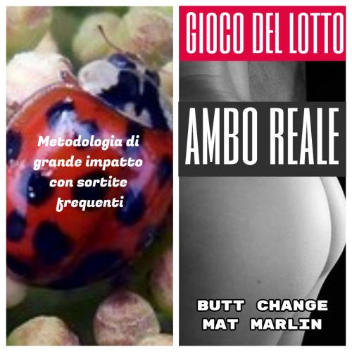 Cover of the book Gioco del Lotto: Ambo Reale, sistema evoluto by Mat Marlin, Butt Change, Mat Marlin