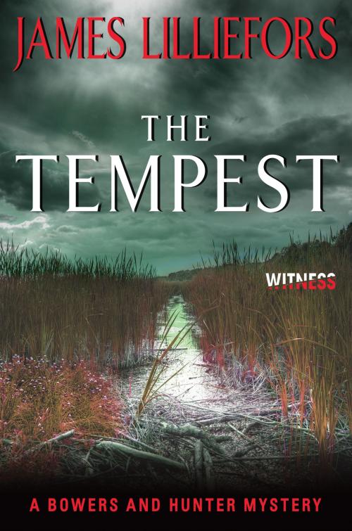 Cover of the book The Tempest by James Lilliefors, Witness