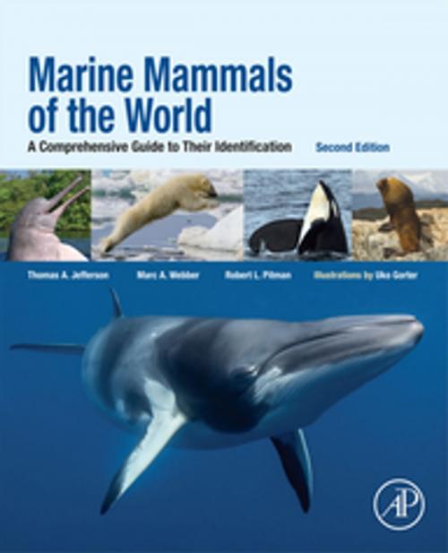 Cover of the book Marine Mammals of the World by Thomas A. Jefferson, Marc A. Webber, Robert L. Pitman, Elsevier Science