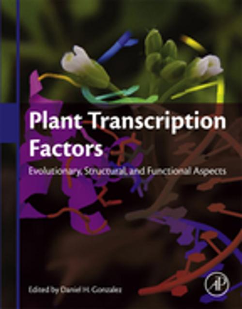 Cover of the book Plant Transcription Factors by , Elsevier Science