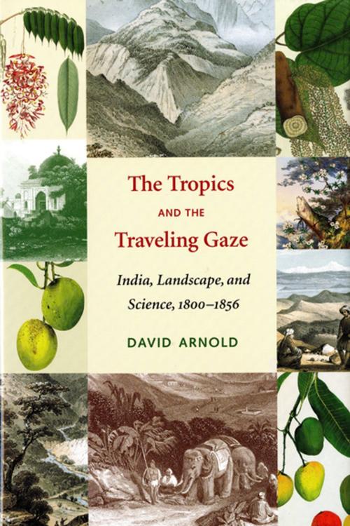 Cover of the book The Tropics and the Traveling Gaze by David John Arnold, K. Sivaramakrishnan, University of Washington Press