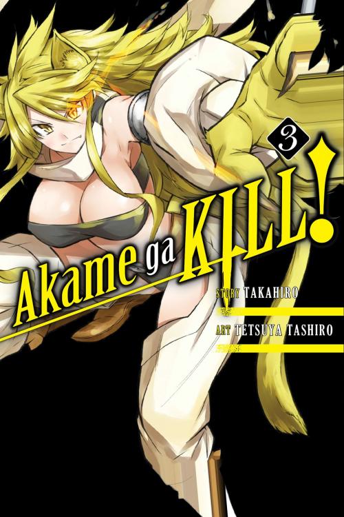 Cover of the book Akame ga KILL!, Vol. 3 by Takahiro, Tetsuya Tashiro, Yen Press