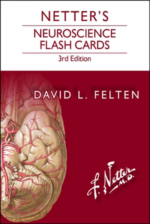 Cover of the book Netter's Neuroscience Flash Cards E-Book by David L. Felten, MD, PhD, Elsevier Health Sciences