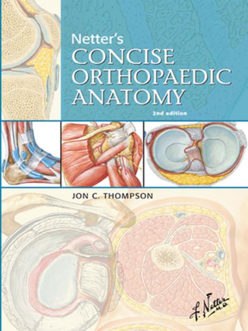 Cover of the book Netter's Concise Orthopaedic Anatomy E-Book by Jon C. Thompson, MD, Elsevier Health Sciences