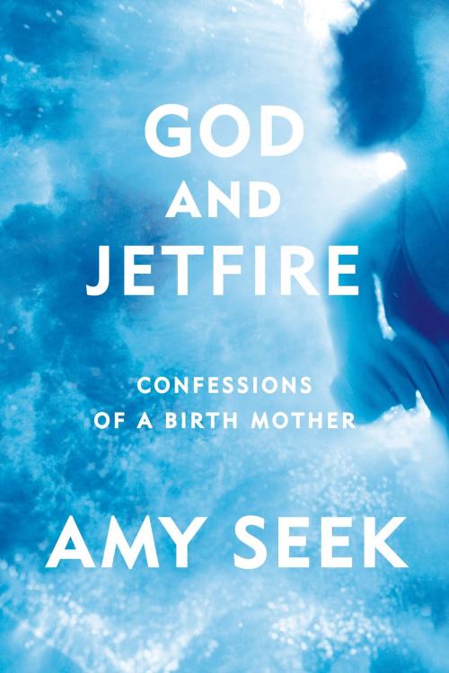 Cover of the book God and Jetfire by Amy Seek, Farrar, Straus and Giroux