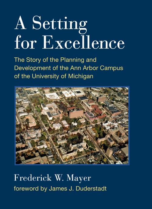 Cover of the book A Setting For Excellence by Frederick W Mayer, University of Michigan Press