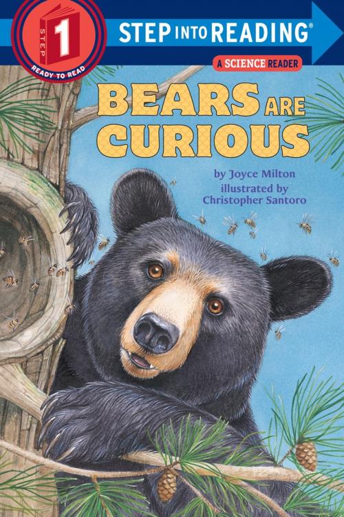 Cover of the book Bears Are Curious by Joyce Milton, Random House Children's Books