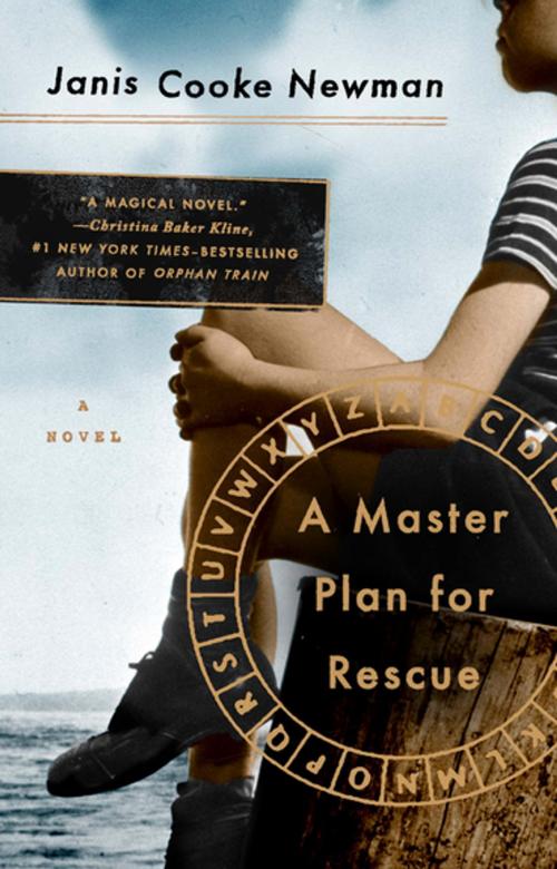 Cover of the book A Master Plan for Rescue by Janis Cooke Newman, Penguin Publishing Group