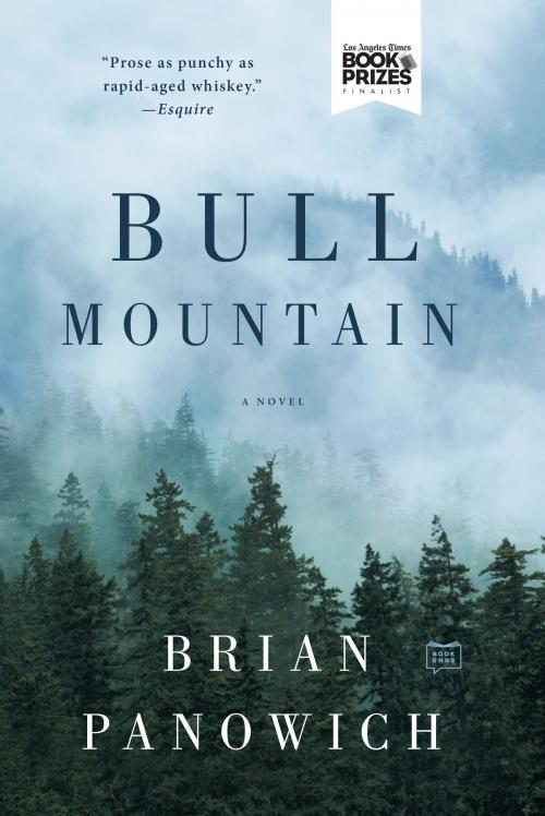Cover of the book Bull Mountain by Brian Panowich, Penguin Publishing Group