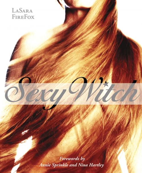 Cover of the book Sexy Witch by LaSara FireFox, Llewellyn Worldwide, LTD.