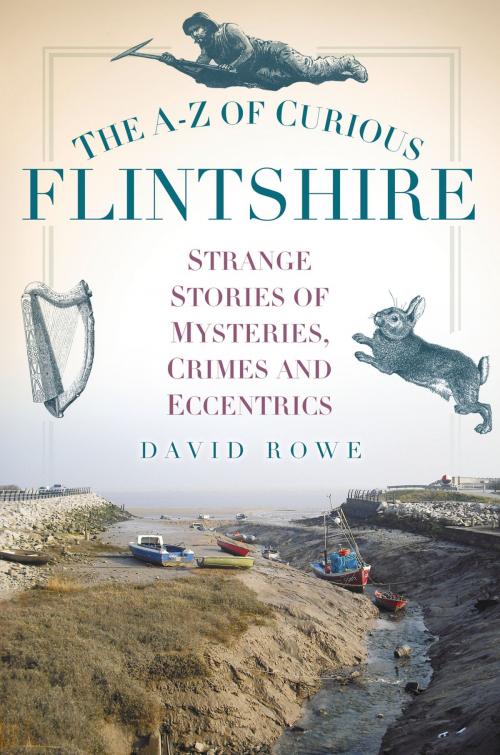 Cover of the book A-Z of Curious Flintshire by David Rowe, The History Press