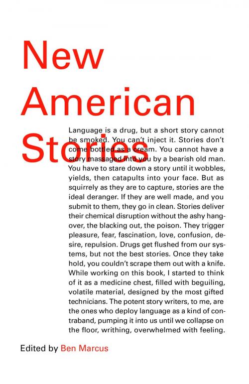 Cover of the book New American Stories by , Knopf Doubleday Publishing Group