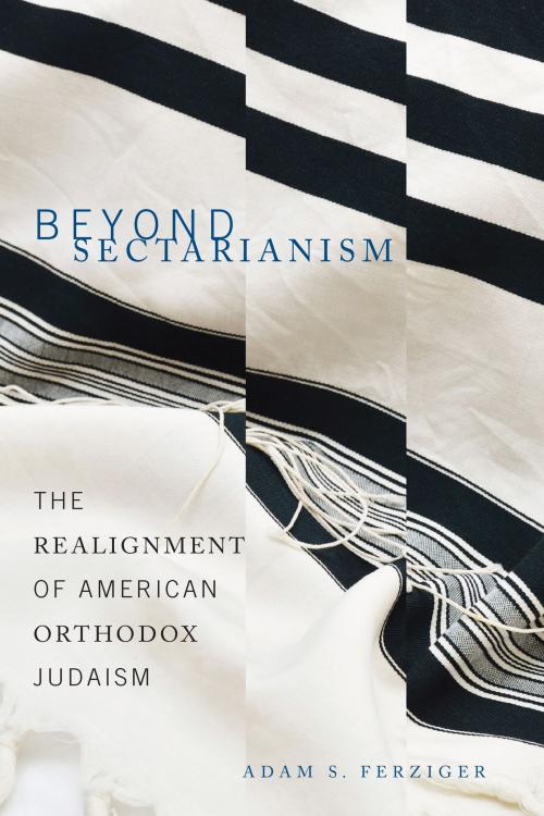 Cover of the book Beyond Sectarianism by Adam S. Ferziger, Wayne State University Press