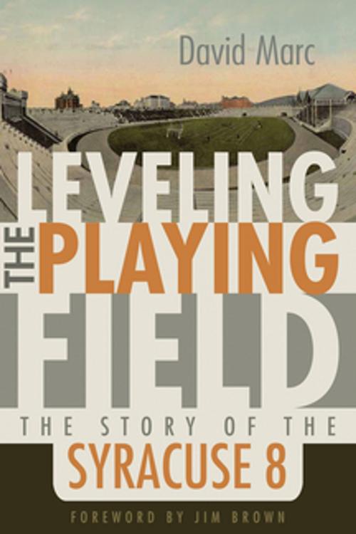 Cover of the book Leveling the Playing Field by David Marc, Syracuse University Press