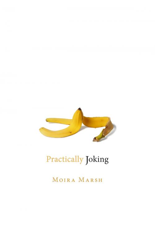 Cover of the book Practically Joking by Moira Marsh, Utah State University Press