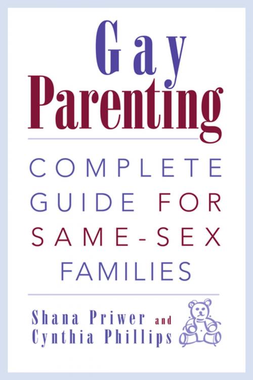 Cover of the book Gay Parenting by Shana Priwer, Cynthia Phillips, New Horizon Press