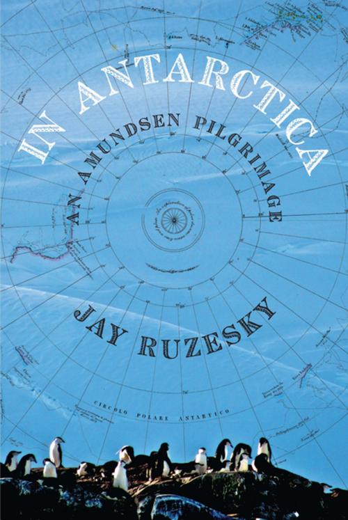 Cover of the book In Antarctica by Jay Ruzesky, Harbour Publishing Co. Ltd.