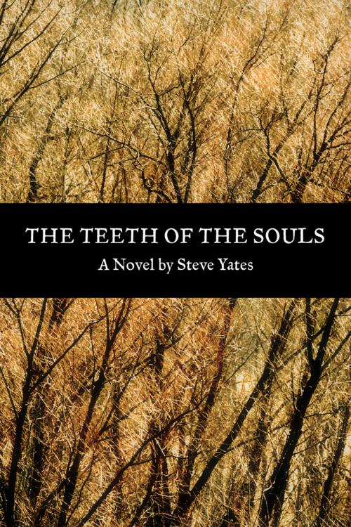 Cover of the book The Teeth of the Souls by Steve Yates, Moon City