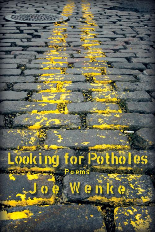 Cover of the book Looking for Potholes: Poems by Joe Wenke, Joe Wenke
