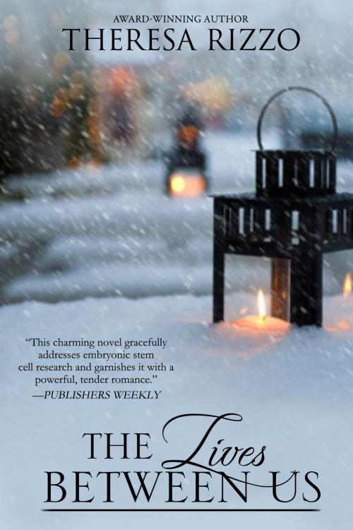 Cover of the book The Lives Between Us (Destiny, #3) by Theresa Rizzo, Theresa Rizzo